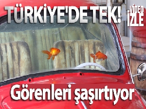 Bu akvaryum Türkiye'de tek