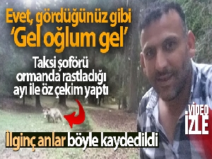 Taksi şoförü ormanda rastladığı ayı ile öz çekim yaptı sosyal medyayı salladı
