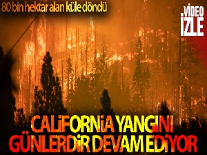 California'daki Caldor yangını 34 binden fazla yapıyı tehdit ediyor
