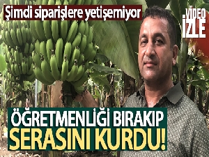 Öğretmenliği bırakıp muz serası kuran Aykut Oran şimdi siparişlere yetişemiyor