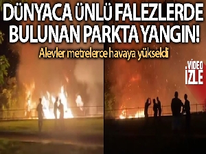 Dünyaca ünlü falezlerde bulunan parkta yangın