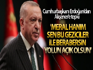 Cumhurbaşkanı Erdoğan: 'Meral hanım sen bu geziciler ile berabersin yolun açık olsun'