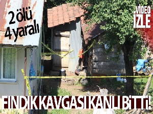 Düzce'ye fındık toplamaya gelen ailede kavga: 2 ölü, 2'si ağır 4 yaralı
