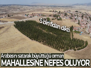 Arabasını satarak büyüttüğü orman, mahallesine nefes oluyor
