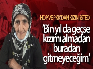 Evlat nöbetindeki acılı anne, HDP ve PKK'dan kızını istedi
