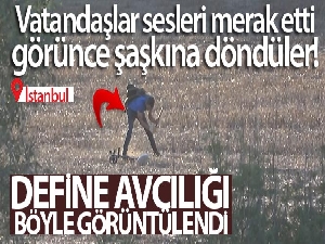 İstanbul'da dedektörle ormanlık alanda define aradı