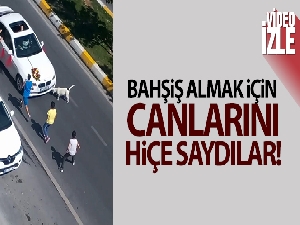 Çocukların tehlikeli bahşiş oyunu kamerada