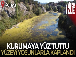 Konya'daki Adaköy Pınarı ve baraj göleti kurumaya yüz tuttu, yüzeyi yosunlarla kaplandı