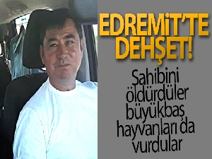 Edremit'te dehşet: Sahibini öldürdüler, büyükbaş hayvanları da vurdular