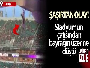 ABD'de tribünde asılı kalan kediyi taraftarlar kurtardı