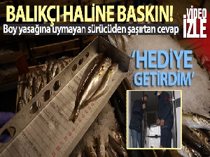 Aracında boy yasağına uymayan balık bulunan sürücüden şaşırtan cevap: 'Hediye getirdim'