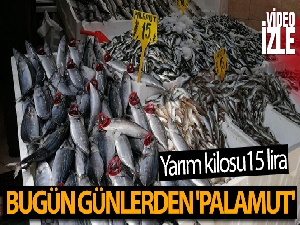 Bugün günlerden 'palamut': Yarım kiloluk palamut 15 lira