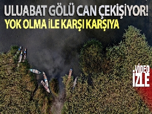 Uluabat Gölü can çekişiyor