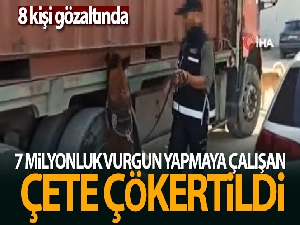 İstanbul'da 7 milyon liralık vurguna hazırlanan kaçakçılık şebekesi çökertildi