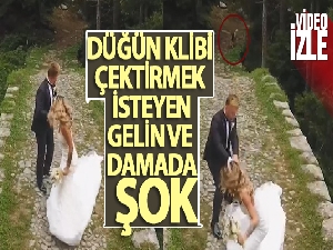 Köpeğin kovaladığı gelin ve damadın zor anları