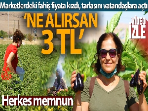 Marketlerdeki fahiş fiyata kızdı, tarlasını vatandaşlara açtı