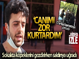 Sokakta köpeklerini gezdiren üniversite öğrencisine saldırı