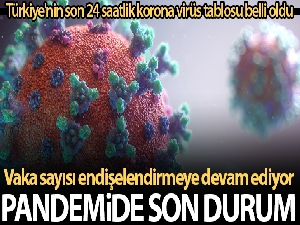 Son 24 saatte korona virüsten 262 kişi hayatını kaybetti