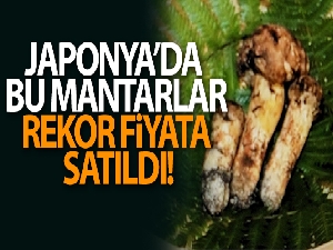 Japonya'da 3 adet mantar 65 bin liraya satıldı