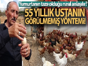 Yumurtanın tazeliğini saptamak için 55 yıllık ustadan görülmemiş ‘dönme' yöntemi