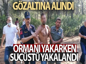 Ormanı yakarken suçüstü yakalandı