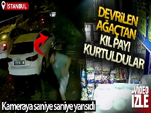 Beykoz'da devrilen ağaçtan kıl payı kurtuldular, o anlar kameraya yansıdı