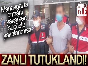 Manavgat'ta ormanı yakarken suçüstü yakalanan zanlı tutuklandı