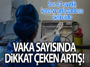 Son 24 saatte korona virüsten 213 kişi hayatını kaybetti