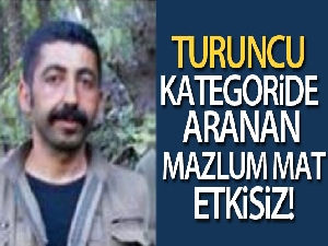 Turuncu kategoride aranan Mazlum Mat etkisiz hale getirildi