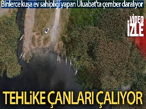 Binlerce kuşa ev sahipliği yapan Uluabat'ta çember daralıyor