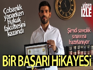 Çobanlık yaparken hukuk fakültesini kazandı, şimdi savcılık sınavına hazırlanıyor