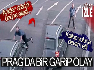 Aniden aracın önüne atladı, kalkıp yoluna devam etti