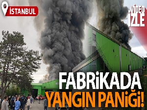 Şile'de alevlere teslim olan fabrika havadan görüntülendi