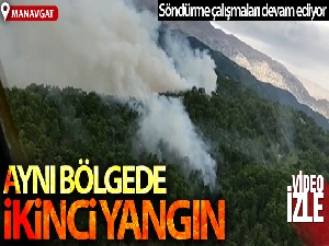 Manavgat'taki orman yangını kontrol altında