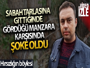 Sabah tarlasına gittiğinde dikili 20 ağacının yerinde olmadığını gördü