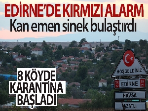 Edirne'de kırmızı alarm: Kan emen sinek bulaştırdı, 8 köyde ‘mavi dil' karantinası başlatıldı