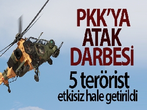 Pençe-Şimşek operasyonu bölgesinde 5 PKK'lı terörist etkisiz hale getirildi