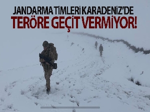 Jandarma timleri Karadeniz'de teröre geçit vermiyor
