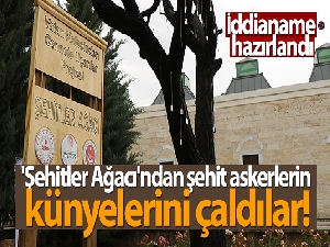 'Şehitler Ağacı'ndan şehit askerlerin künyelerini çaldılar