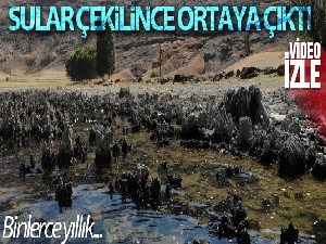 Van Gölü'nün suyu çekildi binlerce yıllık mikrobiyalitler gün yüzüne çıktı