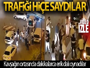 Kavşağı trafiğe kapatıp, erik dalı oynadılar