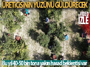 Nar, üreticisinin yüzünü güldürecek