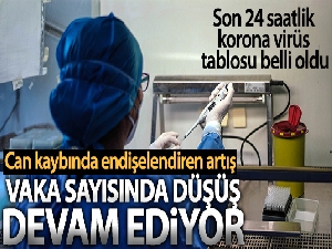 Son 24 saatte korona virüsten 228 kişi hayatını kaybetti