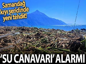 Petrol atıklarının ardından şimdi de ‘su canavarı' alarmı