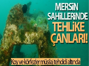 Mersin sahilleri müsilaj tehlikesi altında