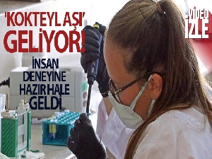 Covid-19'a karşı bitkiden üretilen 'kokteyl aşı' insan deneyine hazır hale geldi