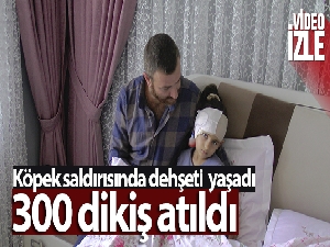 Köpek saldırısında dehşeti yaşayan çocuğun başına 300 dikiş atıldı