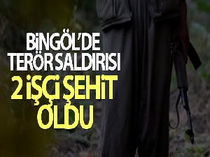 Bingöl'de terör saldırısı: 2 işçi şehit oldu