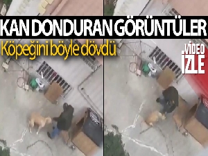 Maltepe'de doktorun köpeğine yumruklu şiddeti kamerada