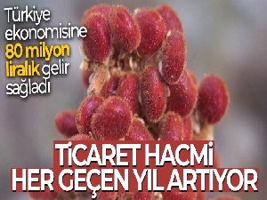 Sumak 2020 yılında Türkiye ekonomisine 80 milyon liralık gelir sağladı
